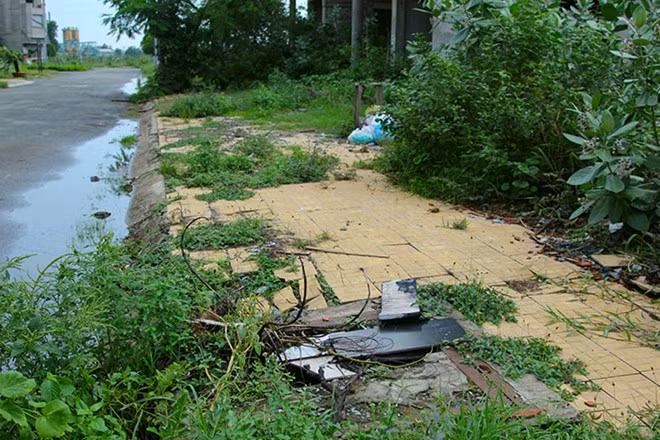 Biệt thự tiền tỷ thành nhà nuôi yến, chuồng gà giữa Sài Gòn ảnh 5