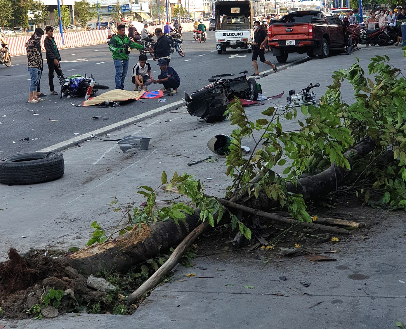 Chiếc ô tô bán tải chỉ dừng lại sau khi tông vào cây xanh bên đường Chiếc ô tô bán tải chỉ dừng lại sau khi tông vào cây xanh bên đường
