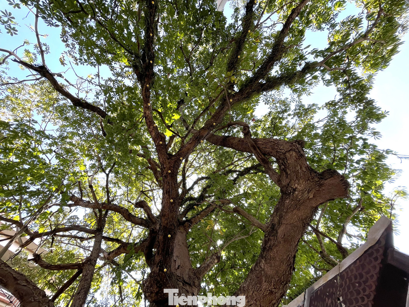 Trường Trung cấp Mỹ thuật – Văn hóa Bình Dương tiền thân là Trường Mỹ nghệ bản địa Thủ Dầu Một, đây là trường Mỹ nghệ ứng dụng ra đời sớm nhất ở khu vực 3 nước Đông Dương, do chính quyền Pháp thành lập từ năm 1901. Nhà trường được bảo tồn và công nhận Di tích lịch sử cấp tỉnh vào năm 2006. Trường Trung cấp Mỹ thuật – Văn hóa Bình Dương tiền thân là Trường Mỹ nghệ bản địa Thủ Dầu Một, đây là trường Mỹ nghệ ứng dụng ra đời sớm nhất ở khu vực 3 nước Đông Dương, do chính quyền Pháp thành lập từ năm 1901. Nhà trường được bảo tồn và công nhận Di tích lịch sử cấp tỉnh vào năm 2006.