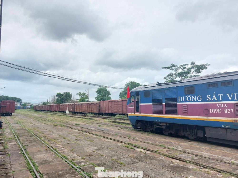 Là doanh nghiệp chuyên xuất khẩu hàng nông sản sang Trung Quốc, ông Nguyễn Hoàng Hải - Giám đốc Công ty TNHH Hoàng Hải Bình Dương, cho biết, bình thường với container 40 feet lạnh, nếu đi tàu thủy thì cước phí chiếm khoảng 10% tổng giá trị sản phẩm, còn đi đường hàng không thì chi phí sẽ tăng gấp hai lần. Mặt khác, vận tải đường biển phục vụ xuất khẩu phụ thuộc vào các hãng tàu nước ngoài. "Không riêng gì công ty tôi, các doanh nghiệp phía Nam rất vui vì bây giờ có đường sắt, ra ga Sóng Thần, hàng hóa đi một mạch thẳng qua Trung Quốc. Một phương thức vận chuyển hàng hóa này chẳng khác nào phao cứu sinh, là đòn bẩy cho xuất khẩu nông sản. Nếu như trước đây, hàng hóa vận chuyển qua Trung Quốc phải mất khoảng 10 ngày, bây giờ chỉ vài ngày đã tới nơi”- ông Hải nói. Là doanh nghiệp chuyên xuất khẩu hàng nông sản sang Trung Quốc, ông Nguyễn Hoàng Hải - Giám đốc Công ty TNHH Hoàng Hải Bình Dương, cho biết, bình thường với container 40 feet lạnh, nếu đi tàu thủy thì cước phí chiếm khoảng 10% tổng giá trị sản phẩm, còn đi đường hàng không thì chi phí sẽ tăng gấp hai lần. Mặt khác, vận tải đường biển phục vụ xuất khẩu phụ thuộc vào các hãng tàu nước ngoài. "Không riêng gì công ty tôi, các doanh nghiệp phía Nam rất vui vì bây giờ có đường sắt, ra ga Sóng Thần, hàng hóa đi một mạch thẳng qua Trung Quốc. Một phương thức vận chuyển hàng hóa này chẳng khác nào phao cứu sinh, là đòn bẩy cho xuất khẩu nông sản. Nếu như trước đây, hàng hóa vận chuyển qua Trung Quốc phải mất khoảng 10 ngày, bây giờ chỉ vài ngày đã tới nơi”- ông Hải nói.