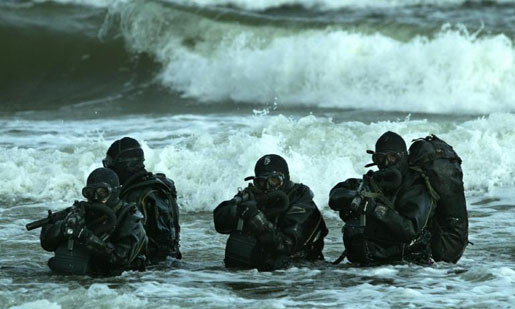 Hải kích từ biển 