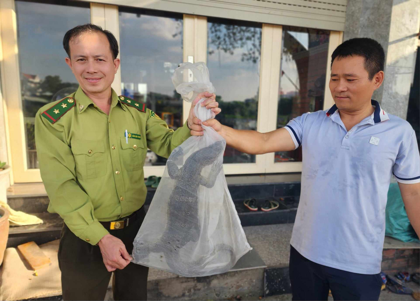 Cán bộ kiểm lâm tiếp nhận cá thể kỳ đà hoa. Cán bộ kiểm lâm tiếp nhận cá thể kỳ đà hoa.