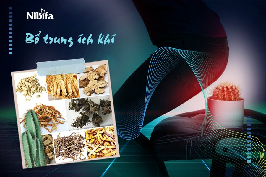 Thang Bổ Trung Ích khí chủ trị chứng sa giáng Thang Bổ Trung Ích khí chủ trị chứng sa giáng