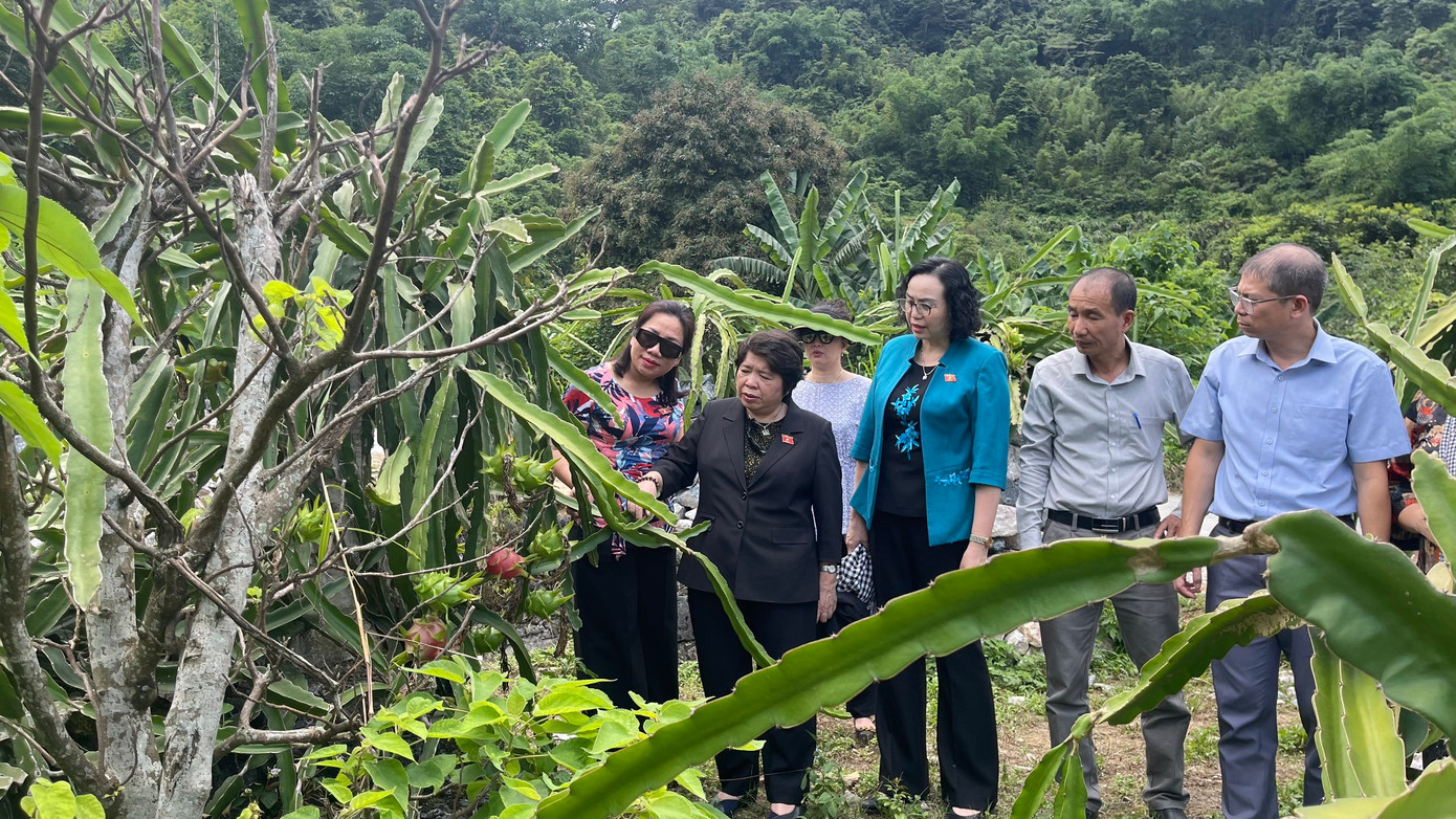 Đoàn giám sát của Quốc hội làm việc tại Cao Bằng. Ảnh QH