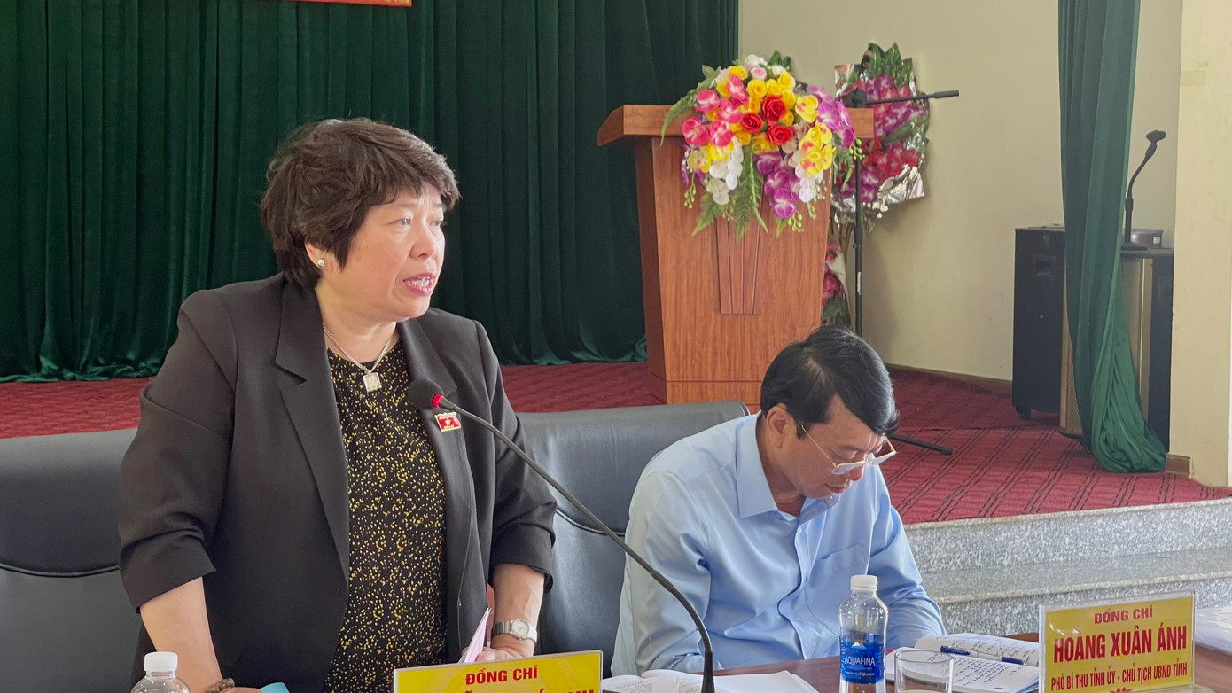 Chủ nhiệm Ủy ban Xã hội của Quốc hội Nguyễn Thuý Anh phát biểu kết luận buổi làm việc. Ảnh QH