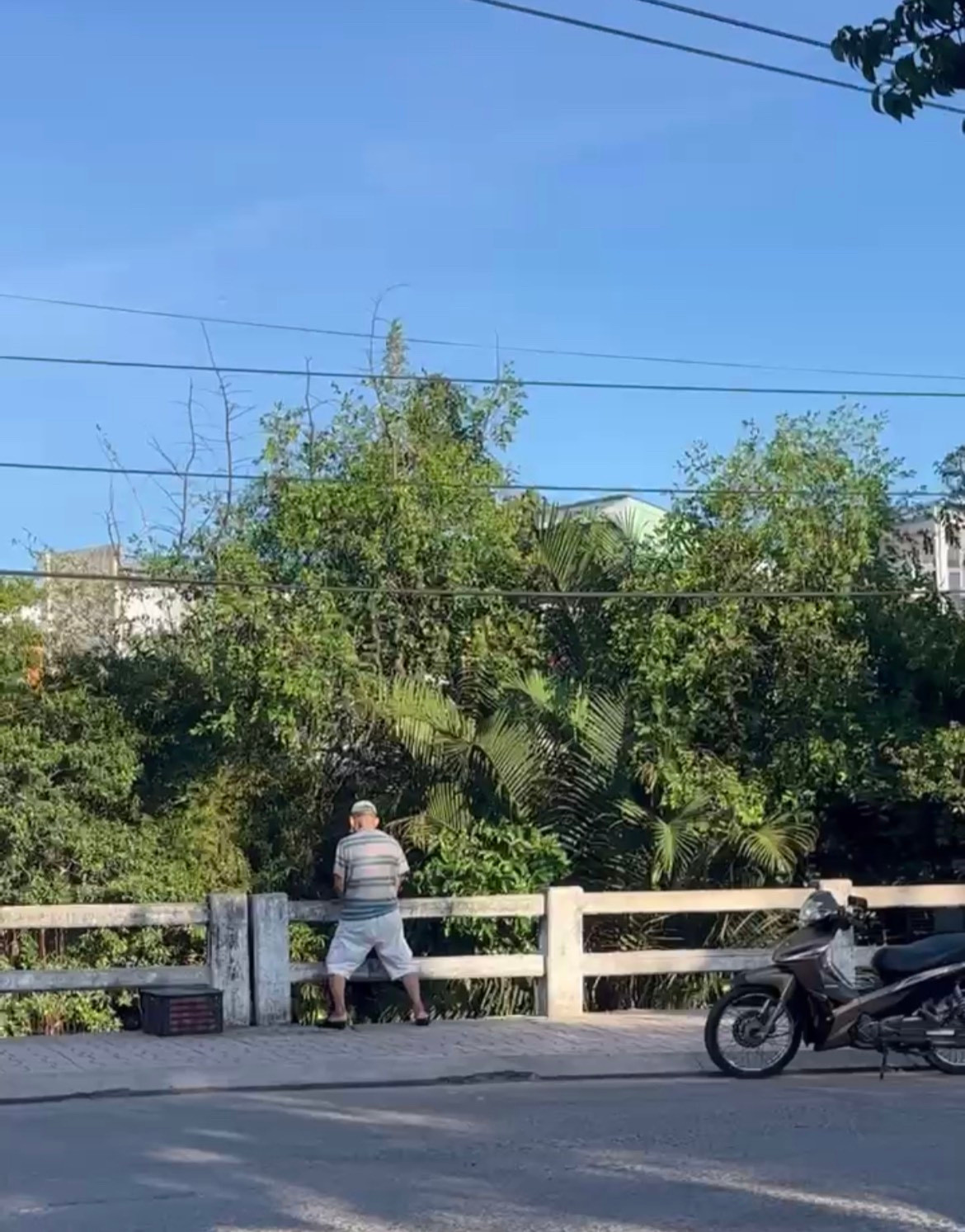 Có người còn ngang nhiên đứng trên cầu phóng uế xuống sông.