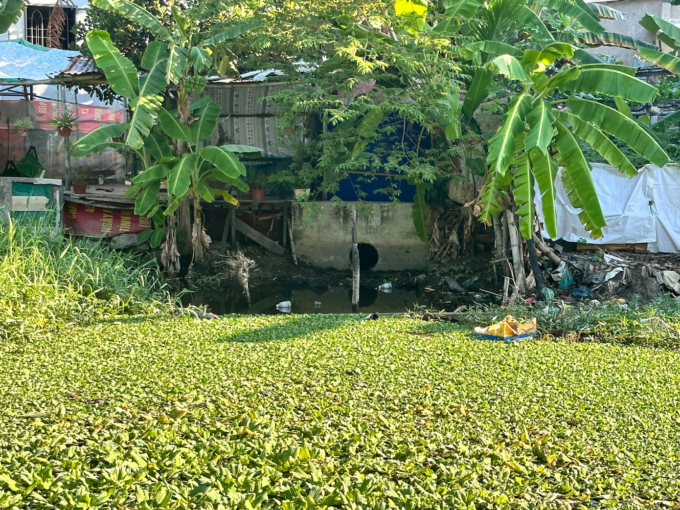 Sông ở Nha Trang bị bao lấp rác thải.