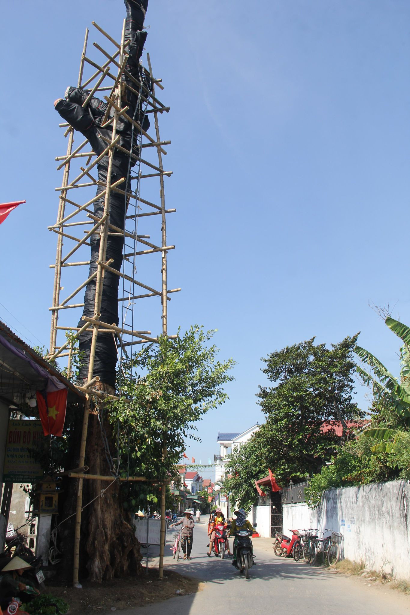 Cả làng góp tiền cứu 'cụ gạo' hơn 200 tuổi ở xứ Nghệ ảnh 1