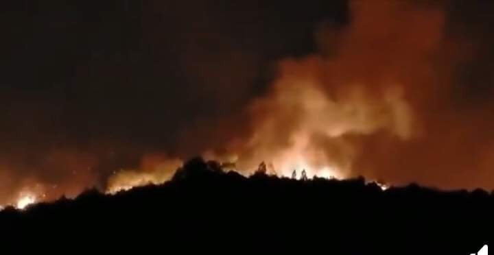 Hàng nghìn người trắng đêm dập lửa cứu rừng Nghệ An, Hà Tĩnh ảnh 9