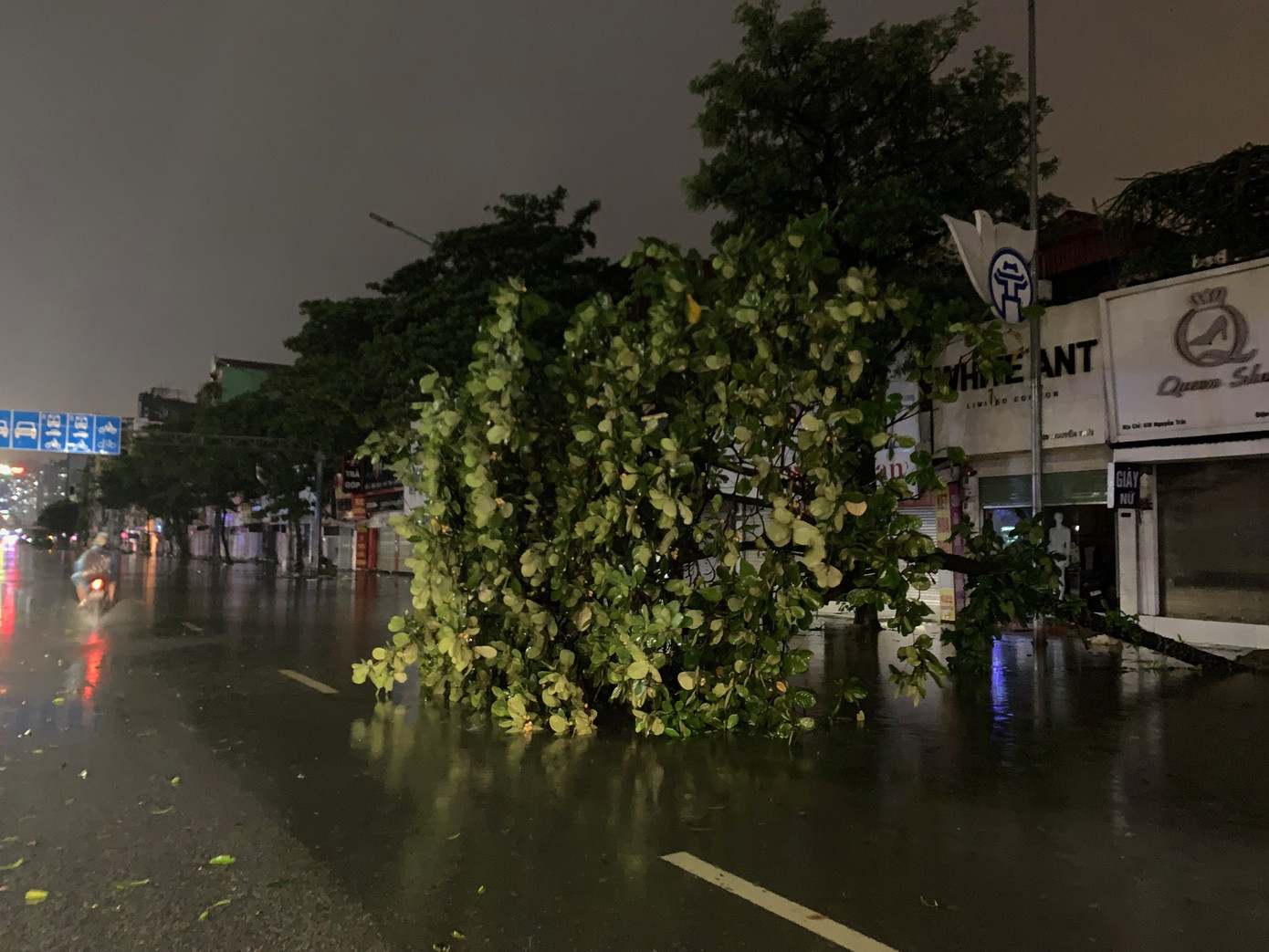Cây đổ và nước ngập nửa làn đường trên đường Nguyễn Trãi (quận Thanh Xuân) tối 7/9. Ảnh: Thái An.