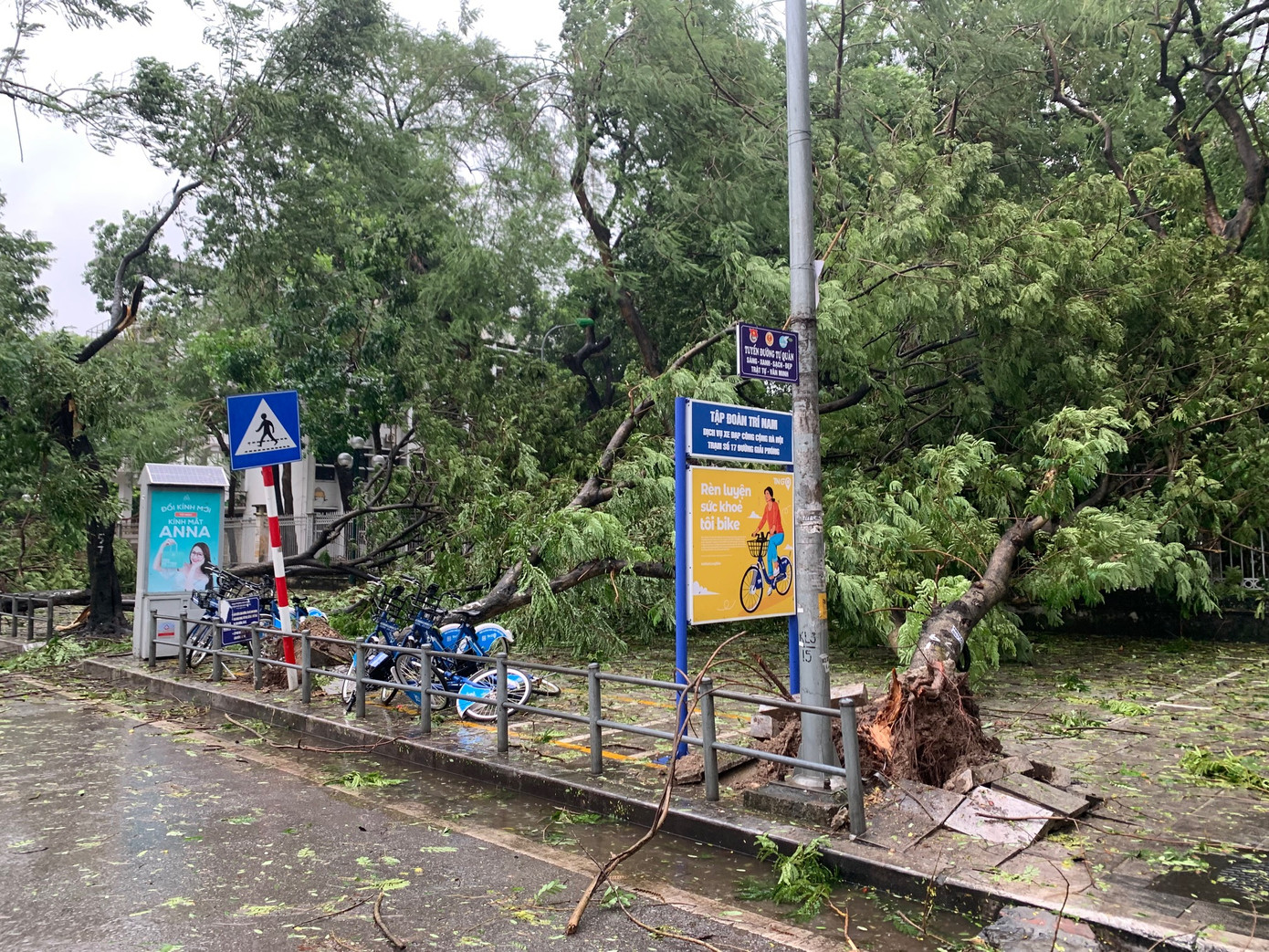 Cây đổ, cành cây rơi xuống vỉa hè đường Giải Phóng, Hà Nội, chiều 7/9. Ảnh: Thái An.