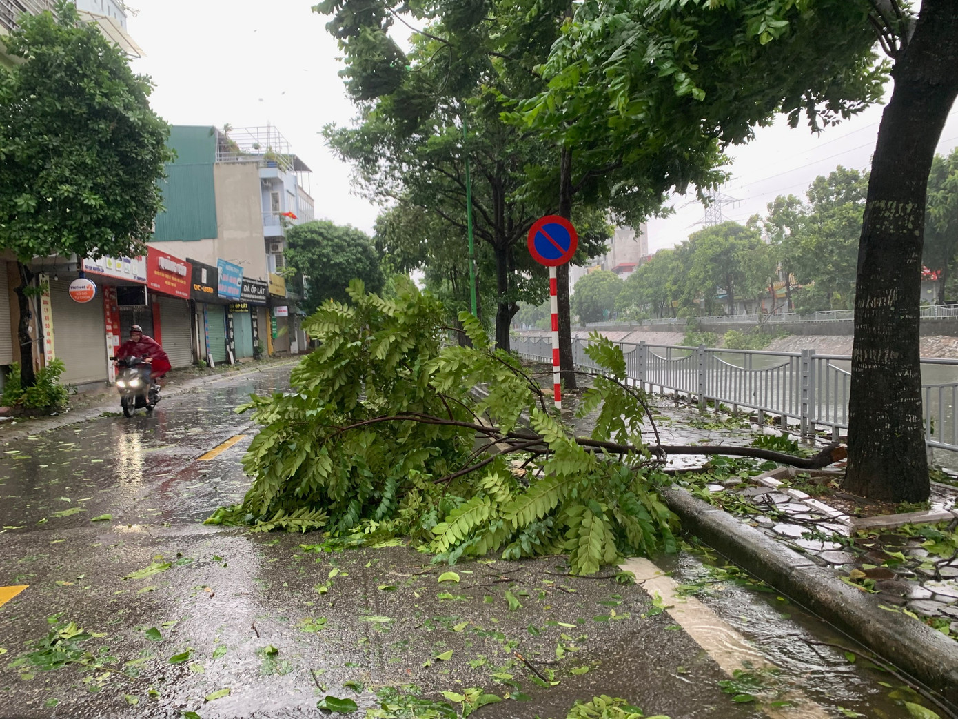 Cây đổ trên phố Nguyễn Lân, Hà Nội, chiều 7/9. Ảnh: Thái An.