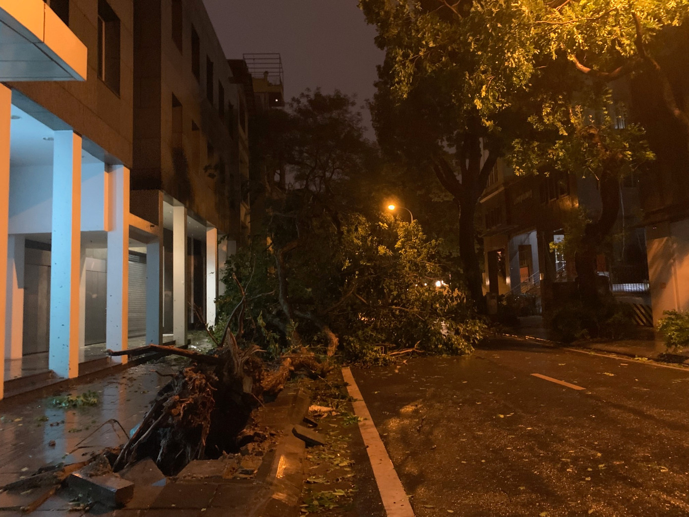 Cây đổ trên phố Hồ Xuân Hương (quận Hai Bà Trưng) tối 7/9. Ảnh: Thái An.