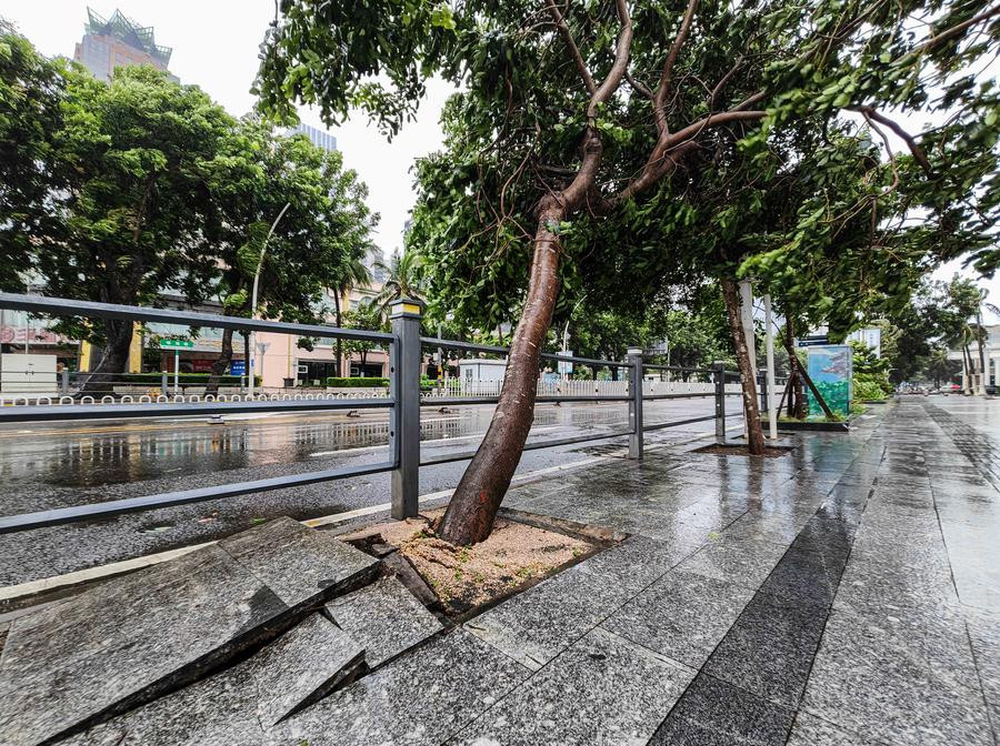 Cây xanh trên đường phố Hải Nam, Trung Quốc suýt đổ chiều 6/9 dù lúc đó siêu bão chưa đổ bộ. Ảnh: Xinhua.