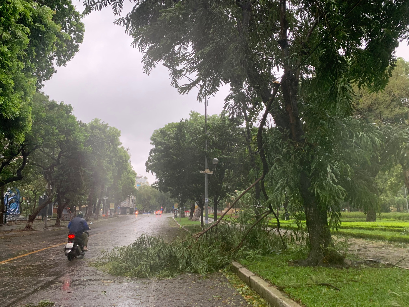 Cành cây gãy rơi trên phố Trần Nhân Tông, Hà Nội, chiều 7/9. Ảnh: Thái An.