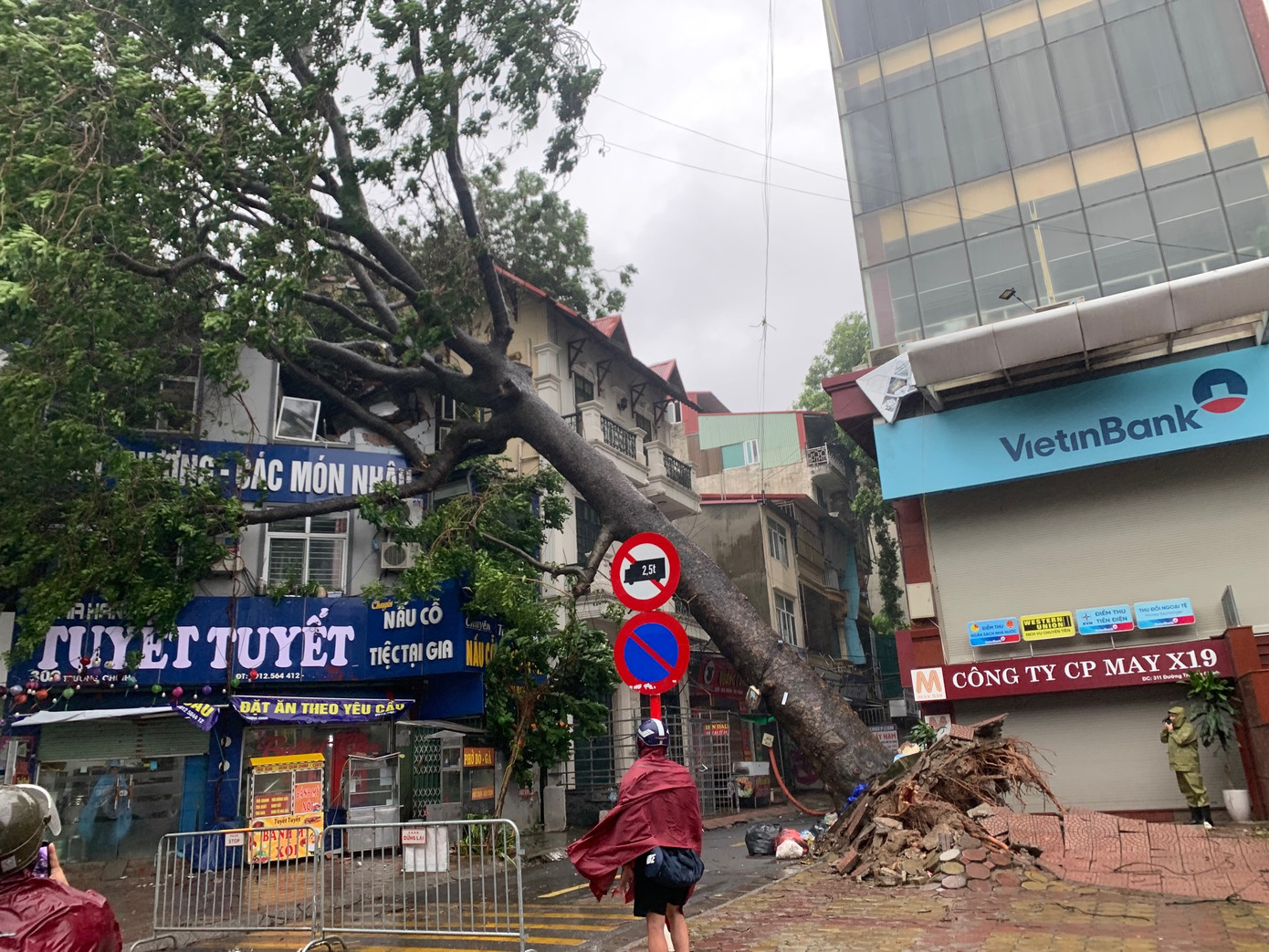 Cây to đổ vào nhà dân trên đường Trường Chinh, Hà Nội, chiều 7/9. Ảnh: Thái An.