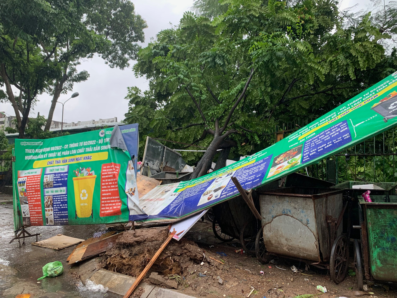 Cây đổ trên đường Nguyễn Trãi, Hà Nội, chiều 7/9. Ảnh: Thái An.