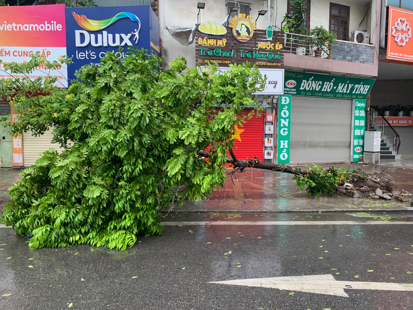 Cây đổ trên đường Nguyễn Trãi, Hà Nội, chiều 7/9. Ảnh: Thái An.