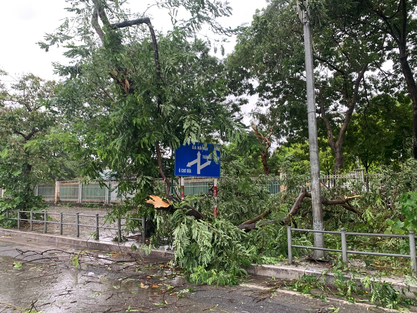 Cành cây rơi xuống vỉa hè đường Giải Phóng, Hà Nội, chiều 7/9. Ảnh: Thái An.