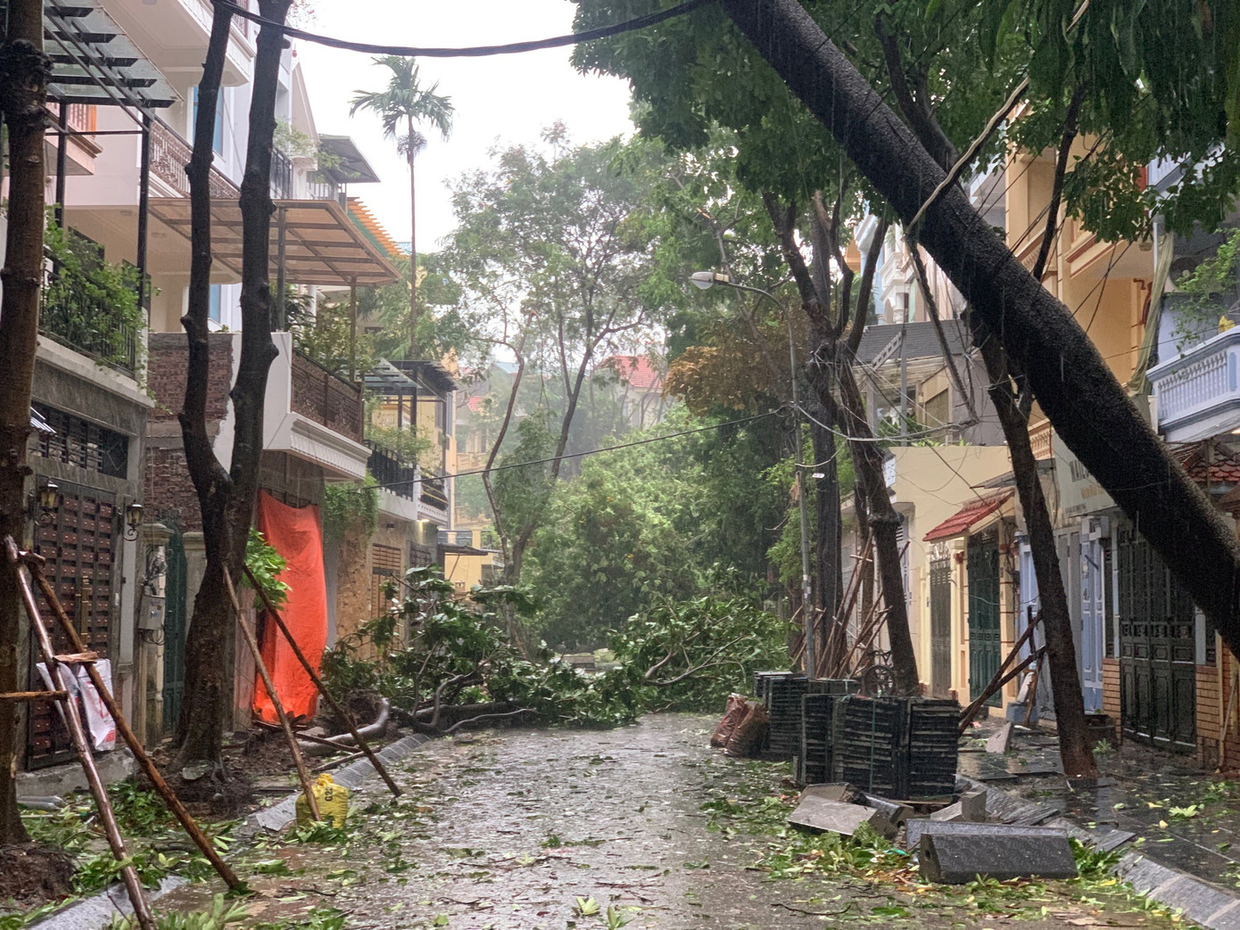 Cây đổ gãy kín lối đi khu dân cư gần Bệnh viện Bưu Điện (phố Trần Điền, Hà Nội) chiều 7/9. Ảnh: Thái An.