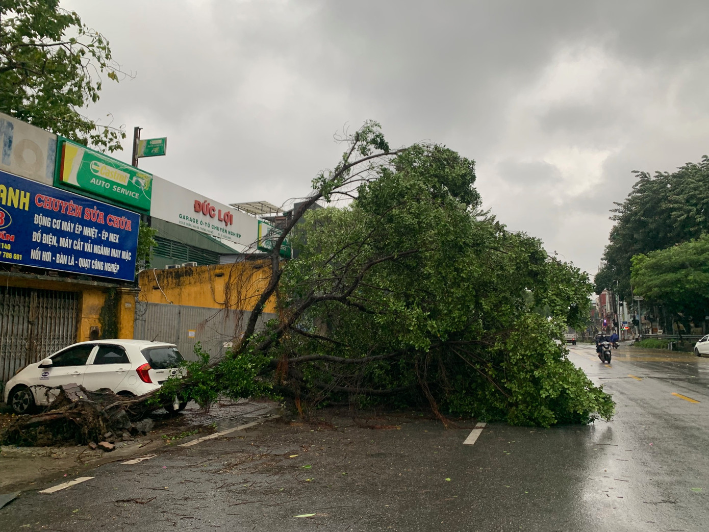 Cây đổ trên đường Lê Duẩn, Hà Nội, chiều 7/9. Ảnh: Thái An.