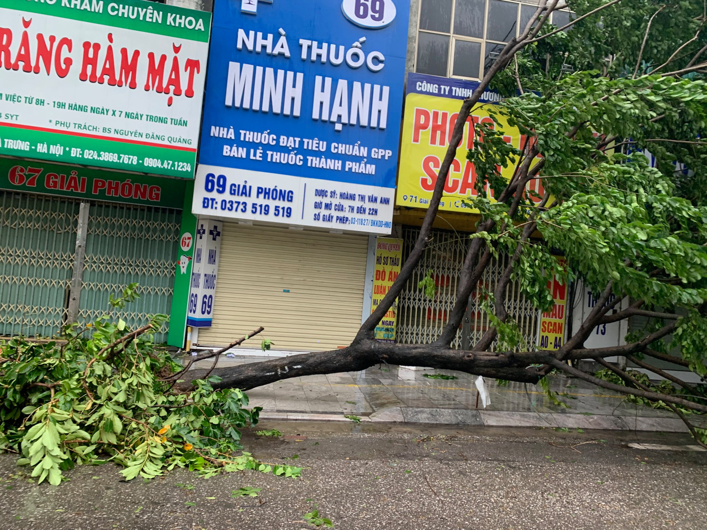 Cây đổ trên đường Giải Phóng, Hà Nội, chiều 7/9. Ảnh: Thái An.