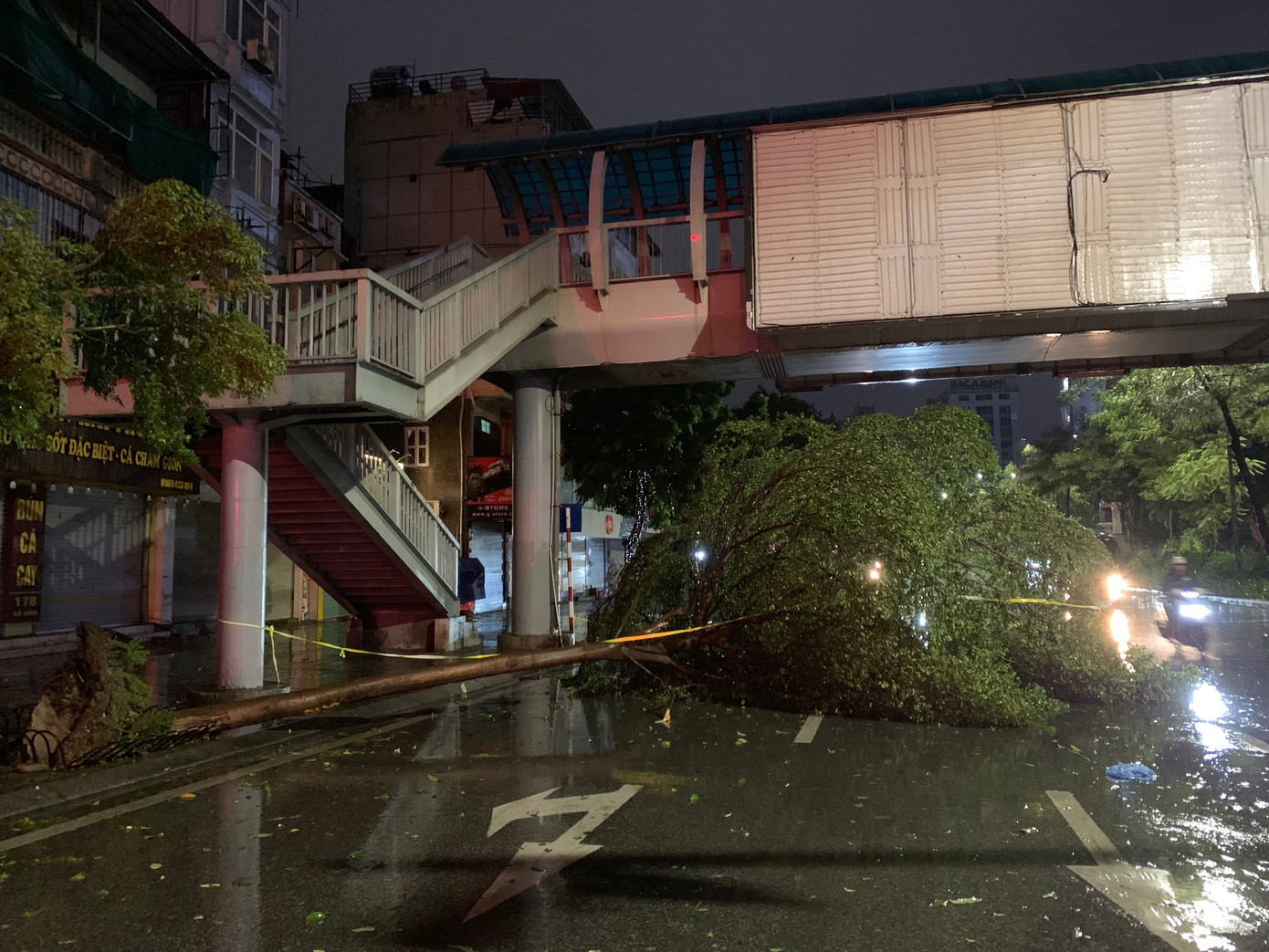 Cây đổ trên phố Xã Đàn (quận Đống Đa) chiều tối 7/9. Ảnh: Thái An.