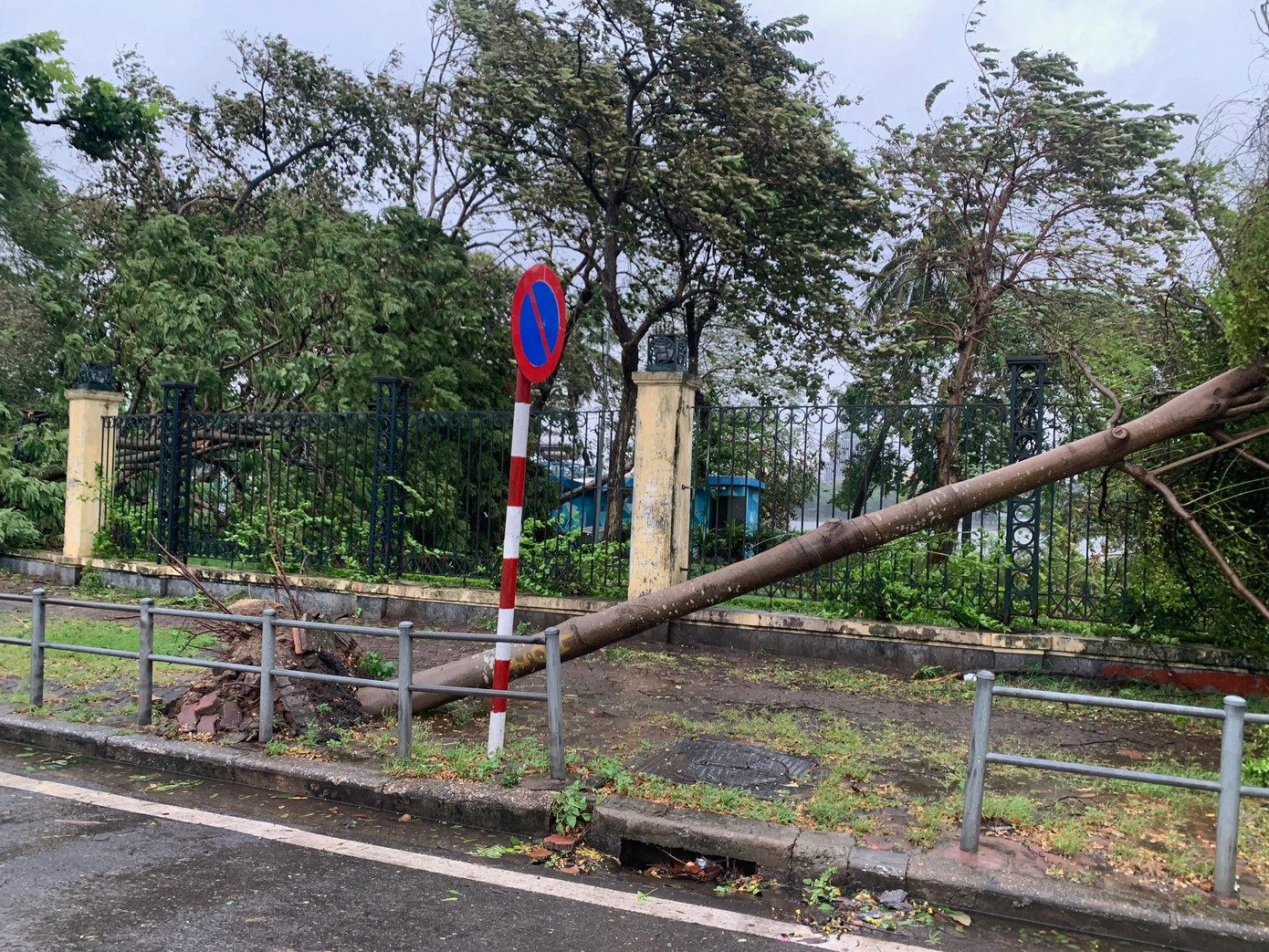 Cây đổ trên đường Lê Duẩn, Hà Nội, chiều 7/9. Ảnh: Thái An.