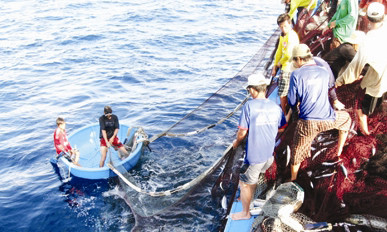 Ngư dân miền Trung đoàn kết bám biển. Ảnh: H.D. Ngư dân miền Trung đoàn kết bám biển. Ảnh: H.D