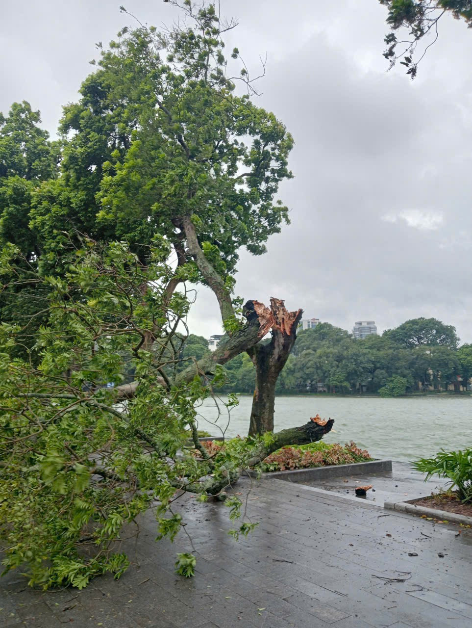 Bão số 3 vượt qua Phú Thọ, Hoà Bình, đi sâu vào Tây Bắc Bộ ảnh 76 Bão số 3 vượt qua Phú Thọ, Hoà Bình, đi sâu vào Tây Bắc Bộ ảnh 76