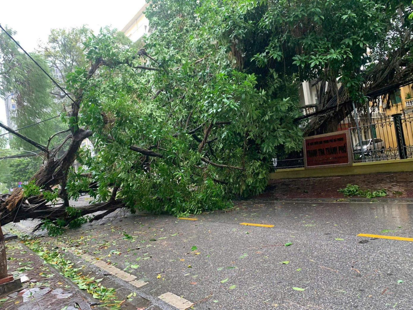 Bão số 3 vượt qua Phú Thọ, Hoà Bình, đi sâu vào Tây Bắc Bộ ảnh 59 Bão số 3 vượt qua Phú Thọ, Hoà Bình, đi sâu vào Tây Bắc Bộ ảnh 59