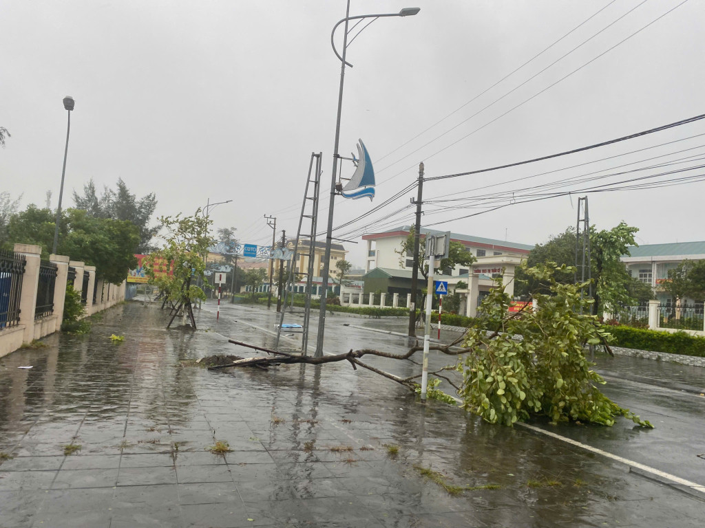 Nhiều cây xanh trên các tuyến đường của thị trấn Cô Tô bị gãy đổ do ảnh hưởng của cơn bão số 3. (Ảnh: Báo Quảng Ninh) Nhiều cây xanh trên các tuyến đường của thị trấn Cô Tô bị gãy đổ do ảnh hưởng của cơn bão số 3. (Ảnh: Báo Quảng Ninh)