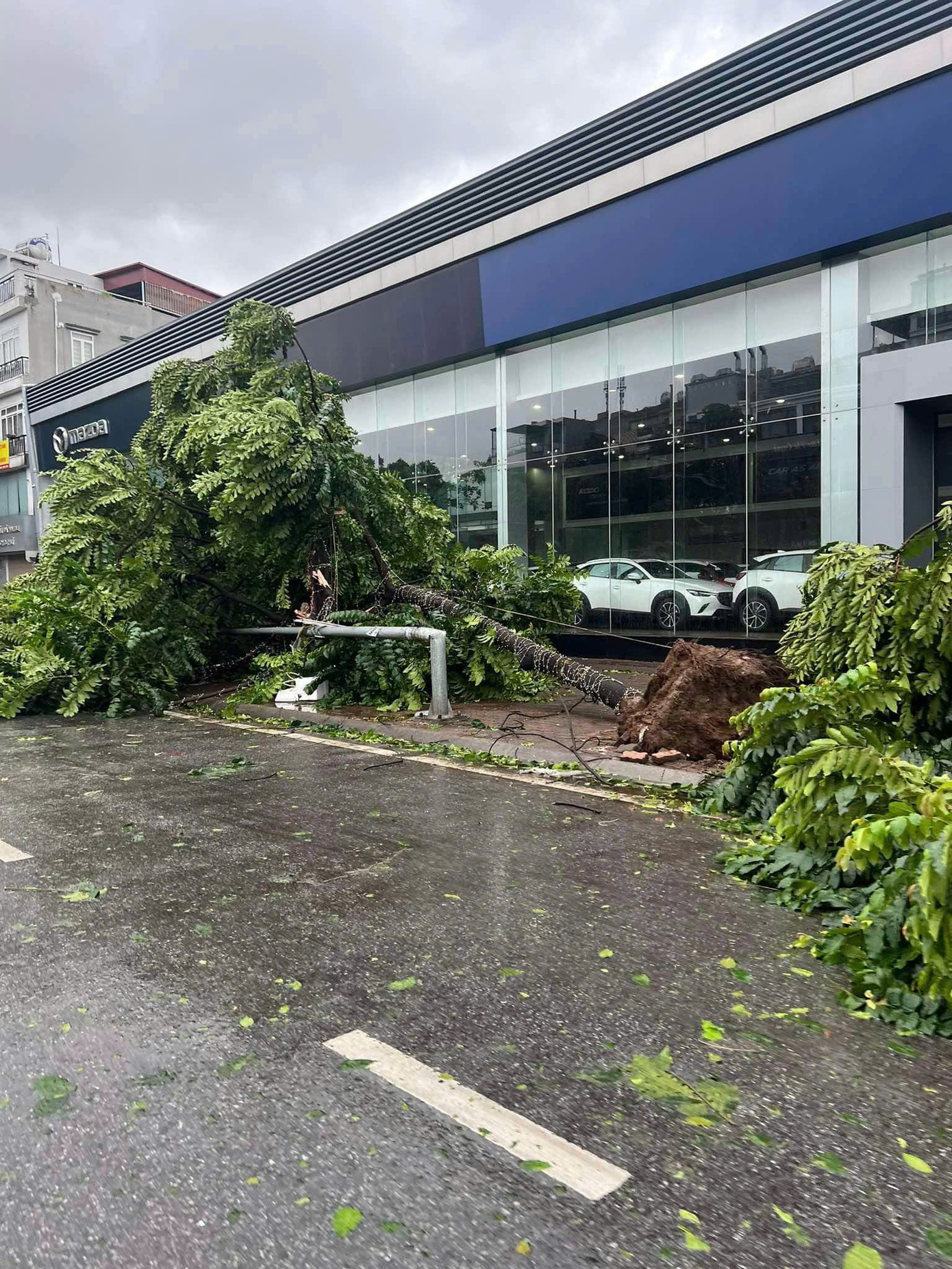 Bão số 3 vượt qua Phú Thọ, Hoà Bình, đi sâu vào Tây Bắc Bộ ảnh 68 Bão số 3 vượt qua Phú Thọ, Hoà Bình, đi sâu vào Tây Bắc Bộ ảnh 68