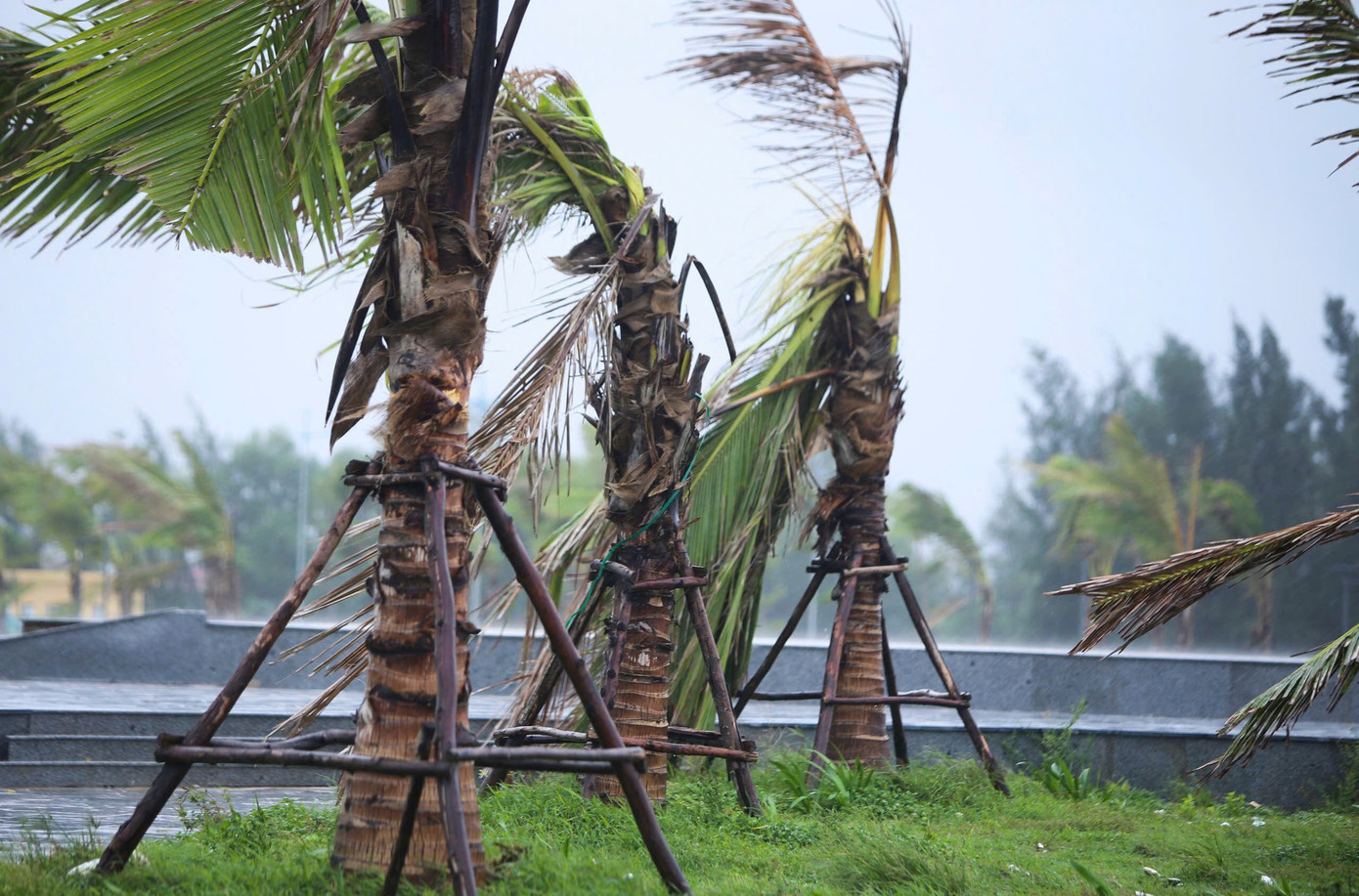 Áp thấp nhiệt đới vào sâu đất liền, vùng mưa chuyển dịch lên Thanh Hoá – Quảng Trị ảnh 5 Áp thấp nhiệt đới vào sâu đất liền, vùng mưa chuyển dịch lên Thanh Hoá – Quảng Trị ảnh 5