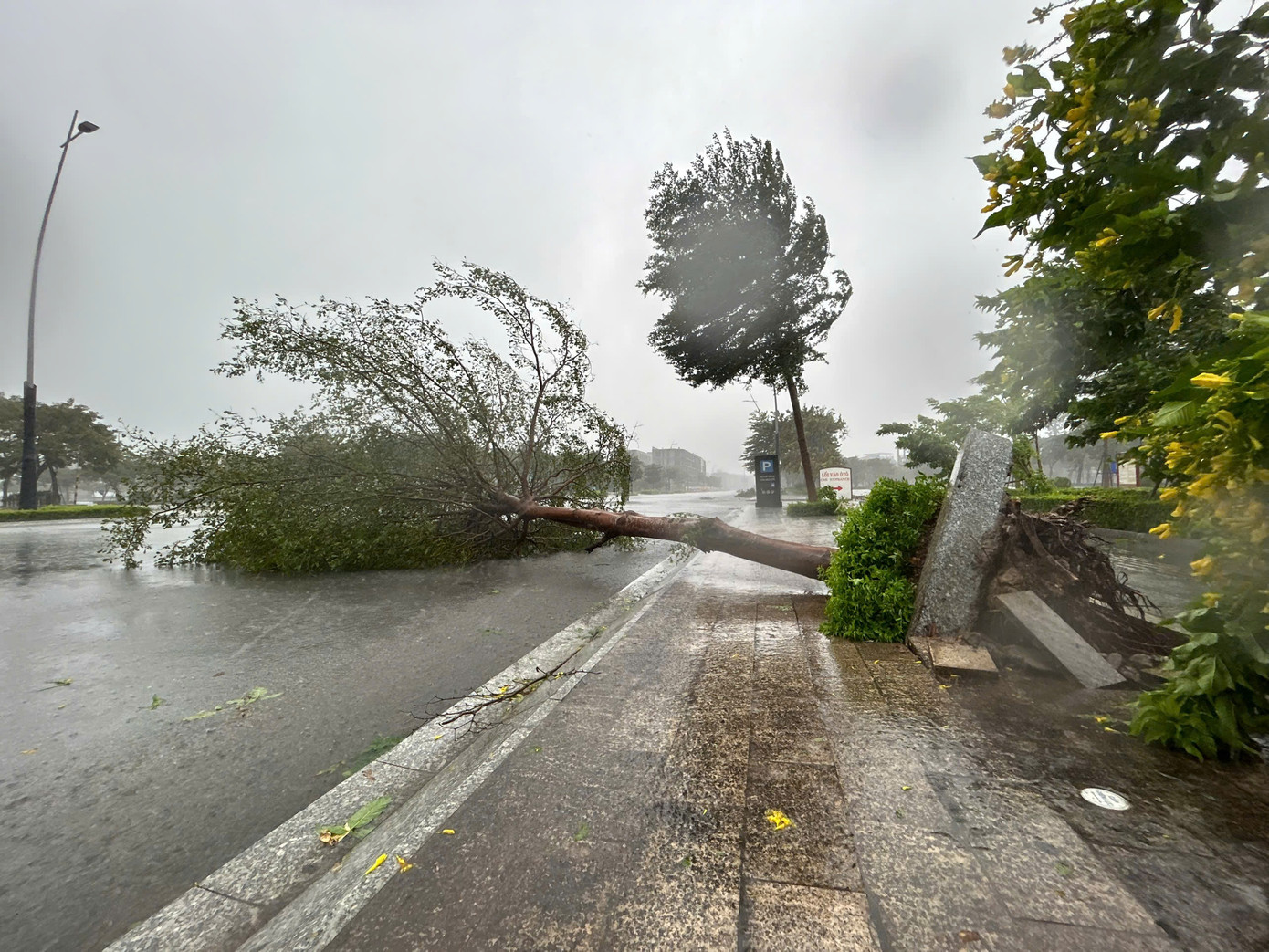 Bão số 3 vượt qua Phú Thọ, Hoà Bình, đi sâu vào Tây Bắc Bộ ảnh 54 Bão số 3 vượt qua Phú Thọ, Hoà Bình, đi sâu vào Tây Bắc Bộ ảnh 54