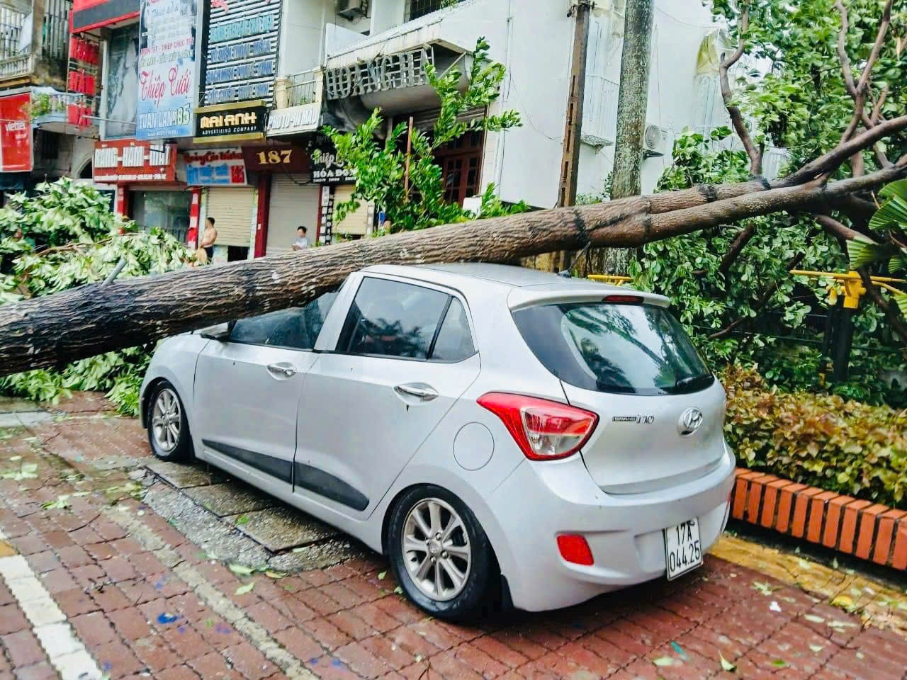 Lực lượng chức năng và đoàn viên, thanh niên tỉnh Thái Bình tham gia khắc phục hậu quả bão số 3. Lực lượng chức năng và đoàn viên, thanh niên tỉnh Thái Bình tham gia khắc phục hậu quả bão số 3.
