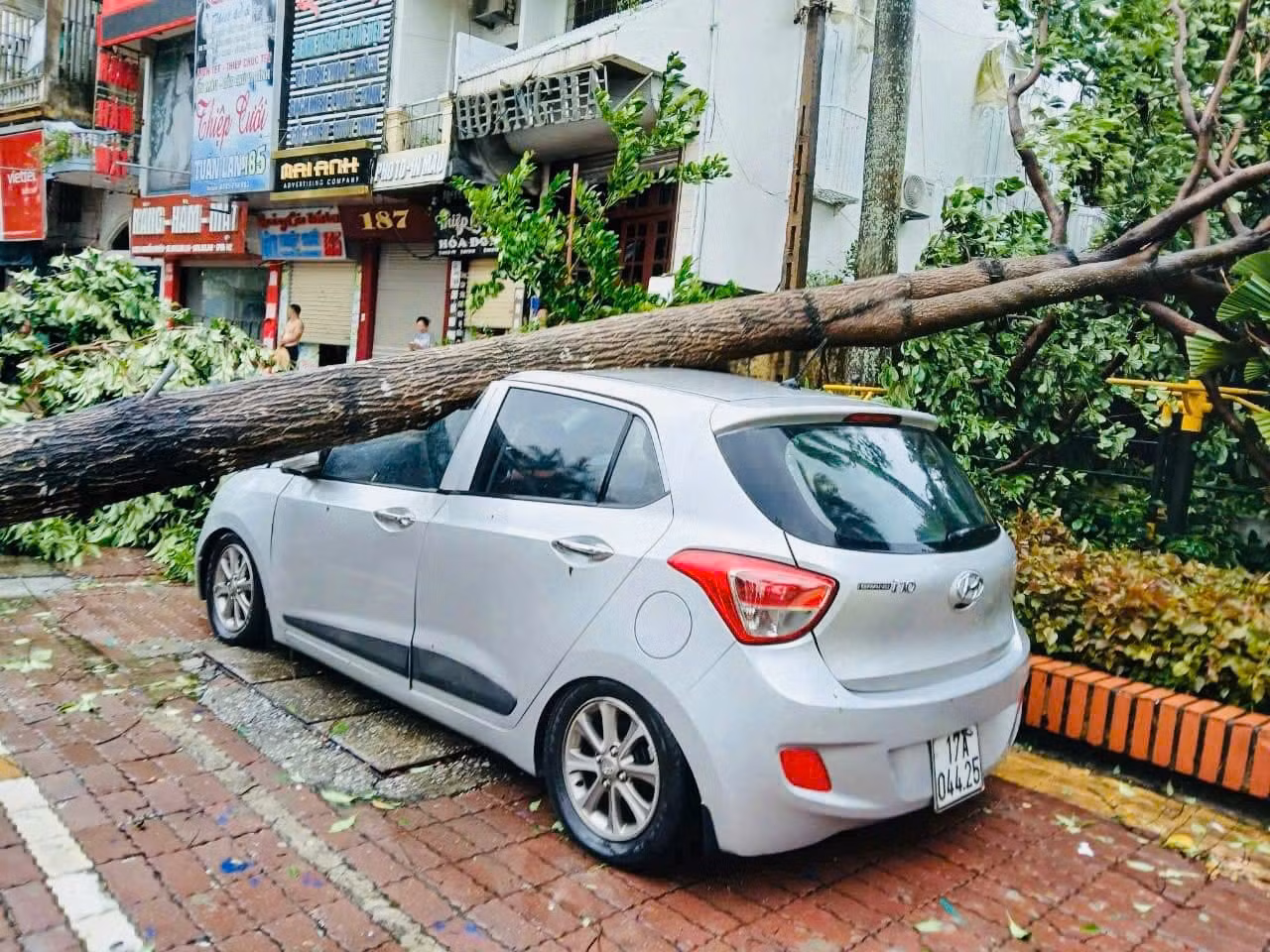 Lực lượng chức năng và đoàn viên, thanh niên tỉnh Thái Bình tham gia khắc phục hậu quả bão số 3.