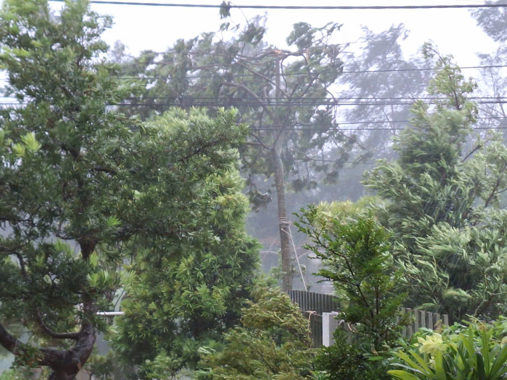 7h sáng, Cô Tô mưa to, gió mạnh cấp 11 (khu vực xã Đồng Tiến, huyện Cô Tô). (Ảnh: Báo Quảng Ninh) 7h sáng, Cô Tô mưa to, gió mạnh cấp 11 (khu vực xã Đồng Tiến, huyện Cô Tô). (Ảnh: Báo Quảng Ninh)