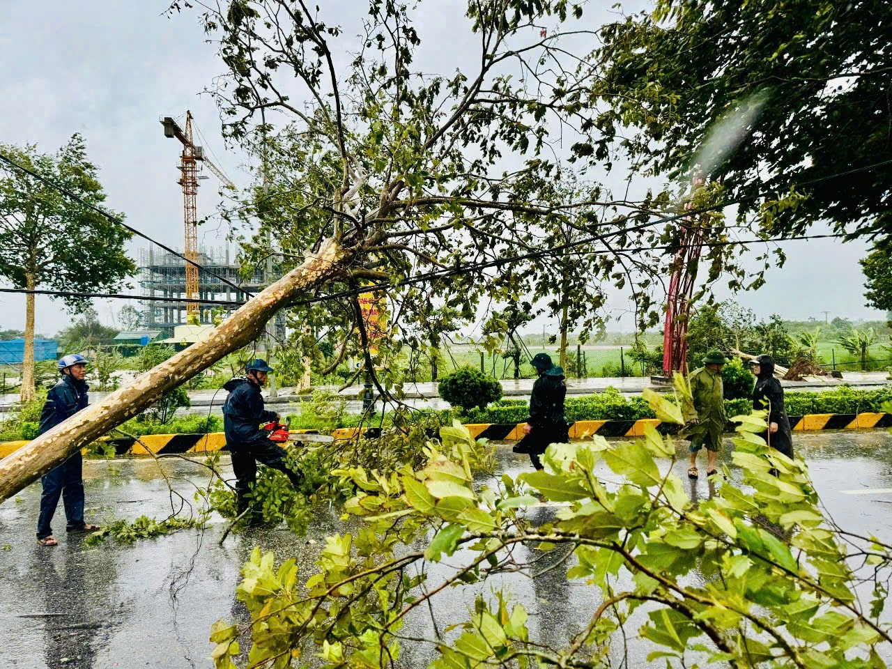 Lực lượng chức năng và đoàn viên, thanh niên tỉnh Thái Bình tham gia khắc phục hậu quả bão số 3. Lực lượng chức năng và đoàn viên, thanh niên tỉnh Thái Bình tham gia khắc phục hậu quả bão số 3.