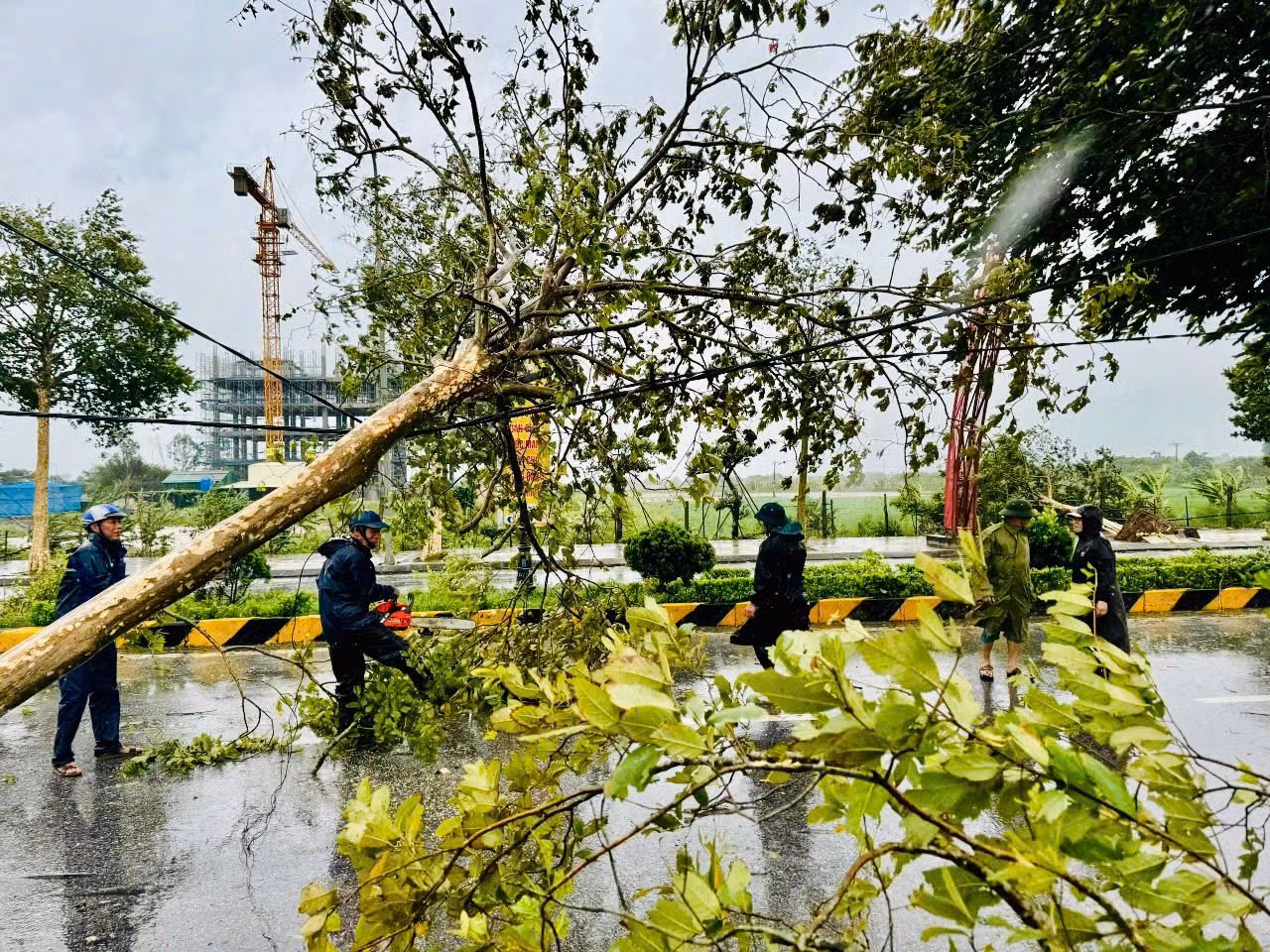 Lực lượng chức năng và đoàn viên, thanh niên tỉnh Thái Bình tham gia khắc phục hậu quả bão số 3.