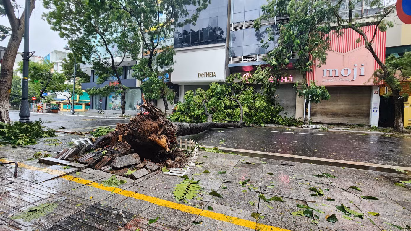 Bão số 3 vượt qua Phú Thọ, Hoà Bình, đi sâu vào Tây Bắc Bộ ảnh 74