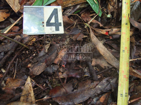 Vết máu còn lại tại hiện trường nơi anh Phìn bị bắn