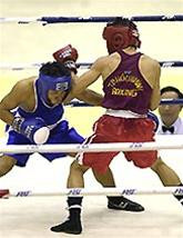 Boxing Việt Nam: Mơ vàng SEA Games ảnh 1
