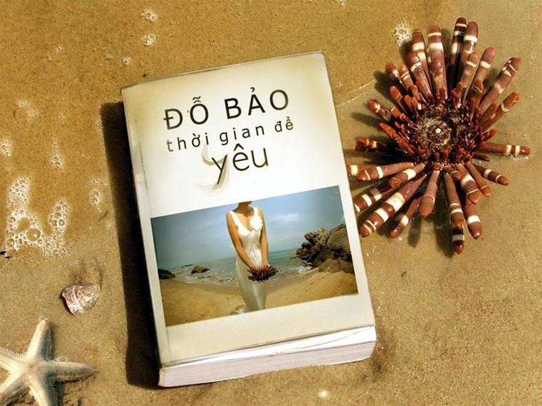 Bìa đĩa Đỗ Bảo