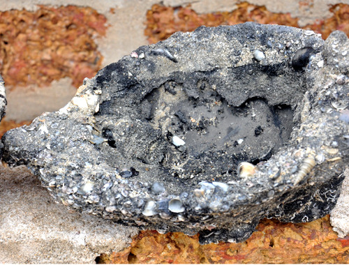 Hàu, vỏ ốc và vết cháy đen bám dày xung quanh nồi gốm cổ có quai cầm. Các chuyên gia khảo cổ nhận định, nhiều khả năng nguyên nhân khiến con tàu cổ này chìm là do hỏa hoạn