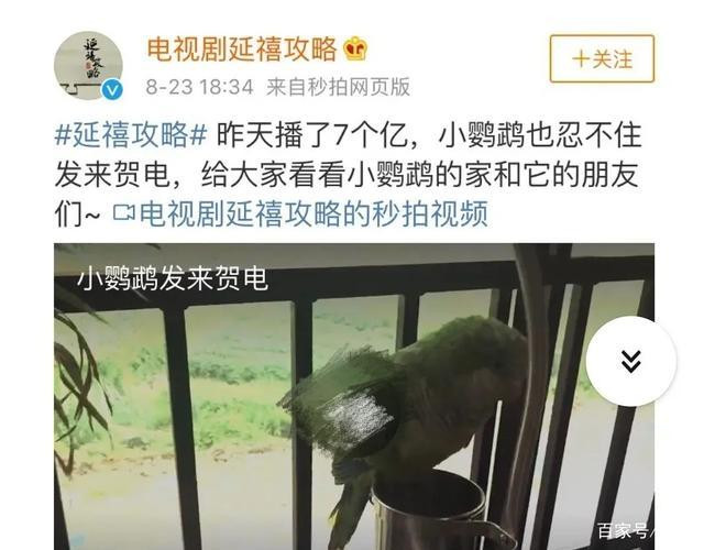 Video chú vẹt trong Diên Hi Công Lược.