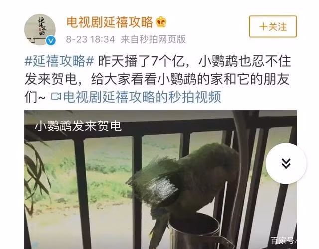 Video chú vẹt trong Diên Hi Công Lược.