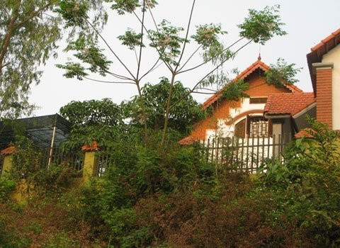 Biệt thự "hoành tráng" của Tú "trố" nhìn từ một góc khác. Biệt thự