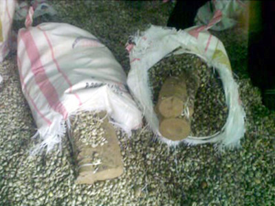 Hải quan Hải Phòng phát hiện ngà voi được cất giữ trong bao tải vỏ ốc