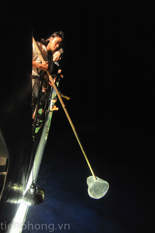 Để có mồi câu, thủy thủ vợt cá chuồn. Để có mồi câu, nhiều thủy thủ và thành viên đoàn hành trình vợt cá chuồn